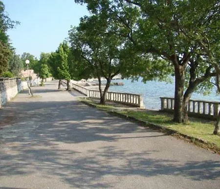 Ana * كلارجيفيكا