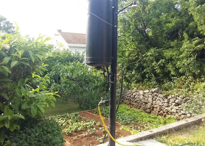 Ana * クラリェヴィツァ